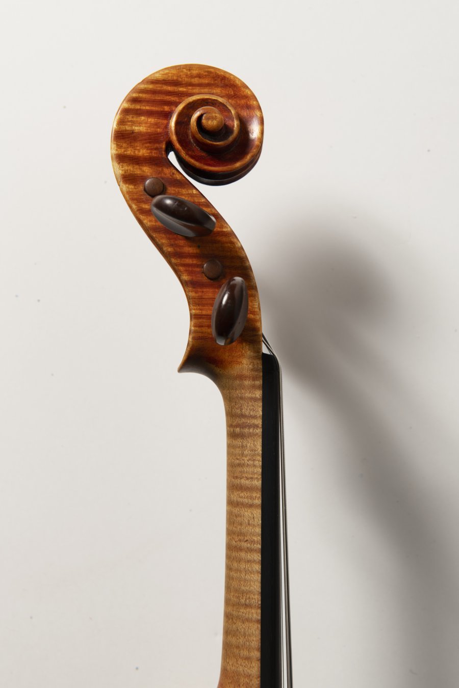 A VIOLIN