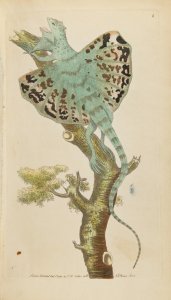 Vivarium Naturae or the Naturalist’s Miscellany. Vol. I-III