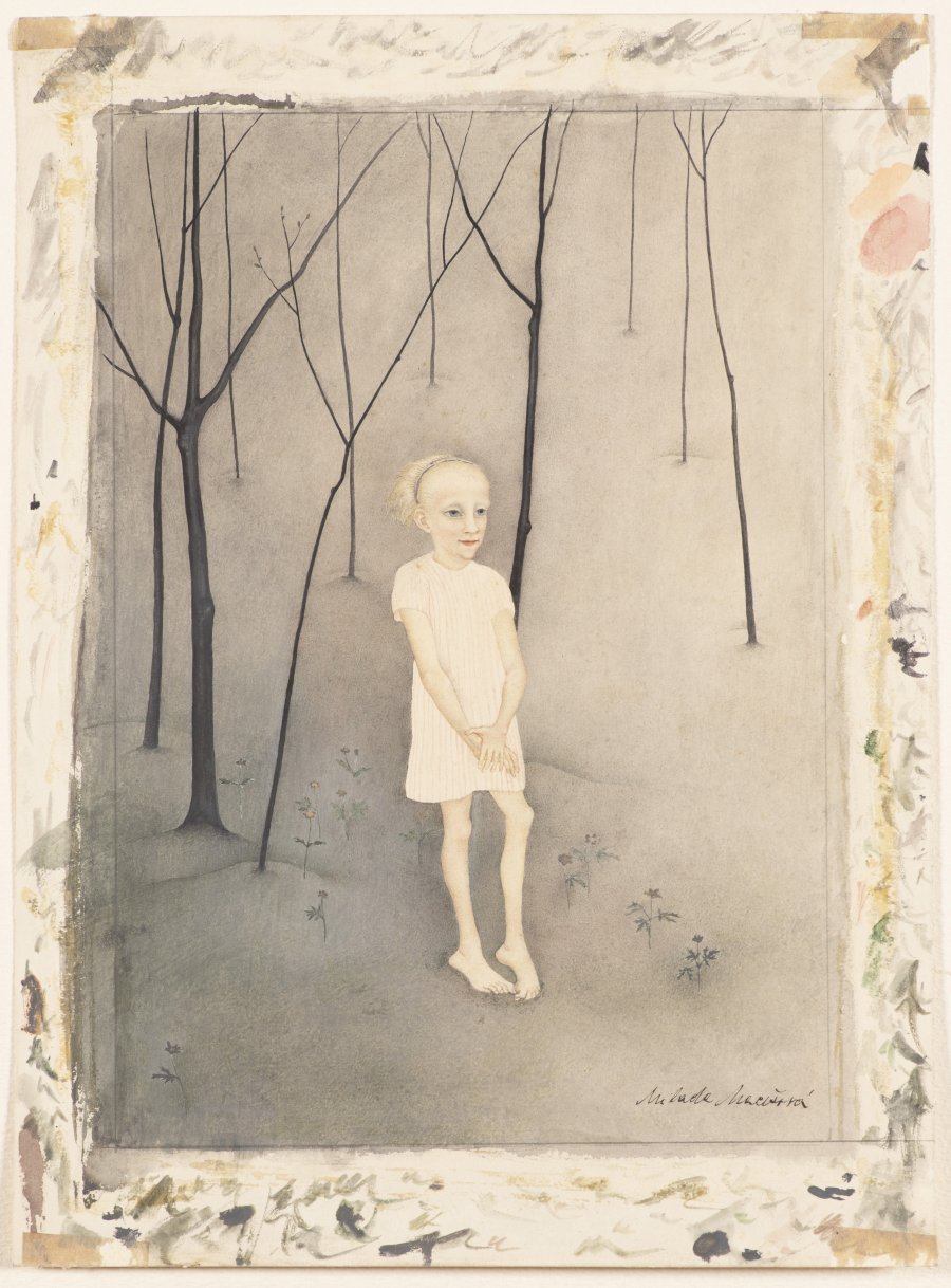 CHILD IN THE WOODS