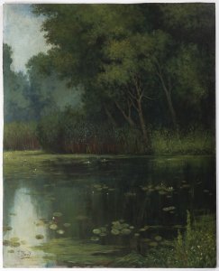 POND WITH WATER LILIES