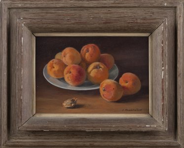 APRICOTS