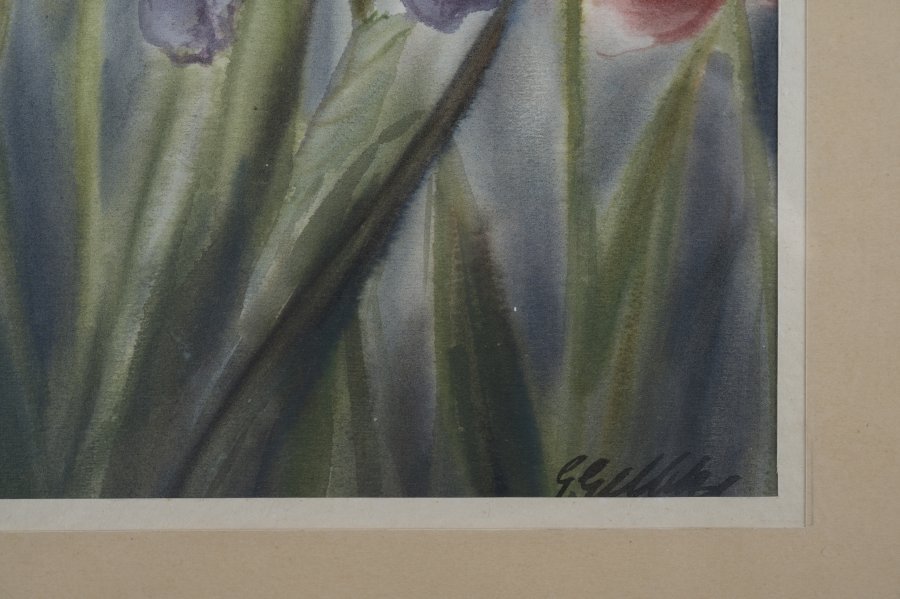 IRISES AND TULIPS