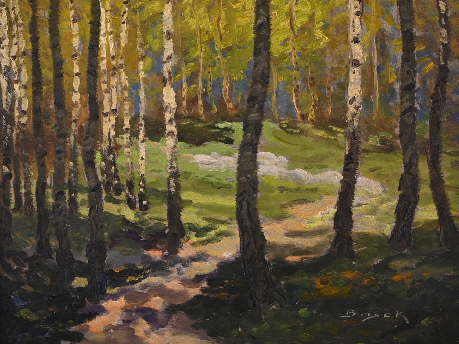 A BIRCH GROVE