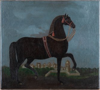 PORTRAIT OF A HORSE