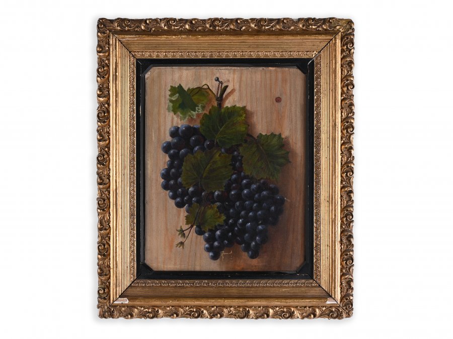 WINE GRAPES