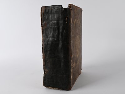 DIETENBERGOVA BIBLE