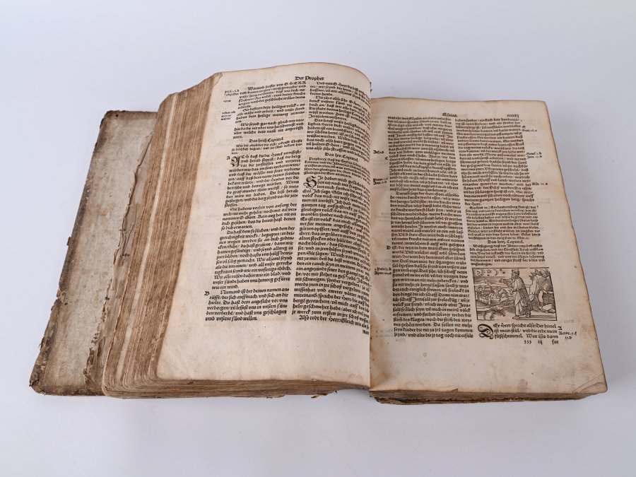 DIETENBERGOVA BIBLE