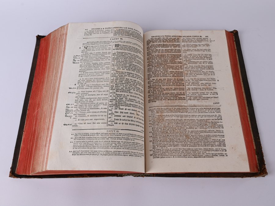 ETTENHEIMMÜNSTERSKÁ BIBLE