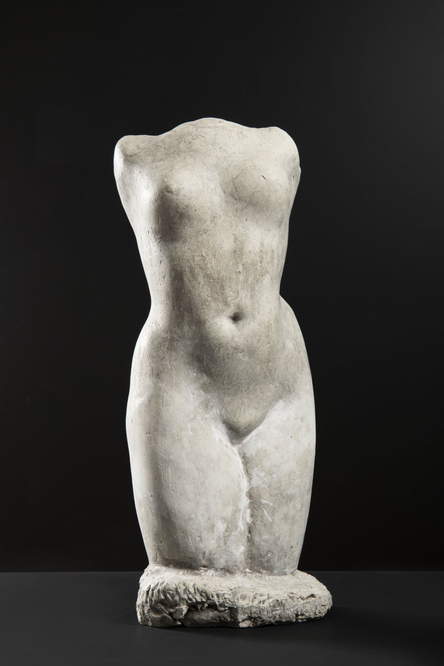 FEMALE NUDE TORSO