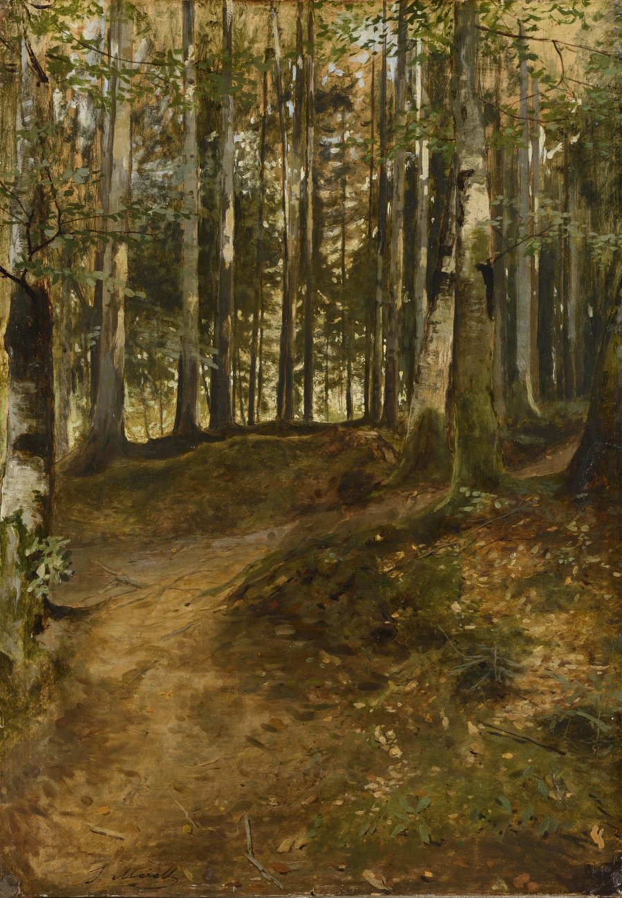 Waldweg 