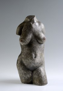 Female Torso