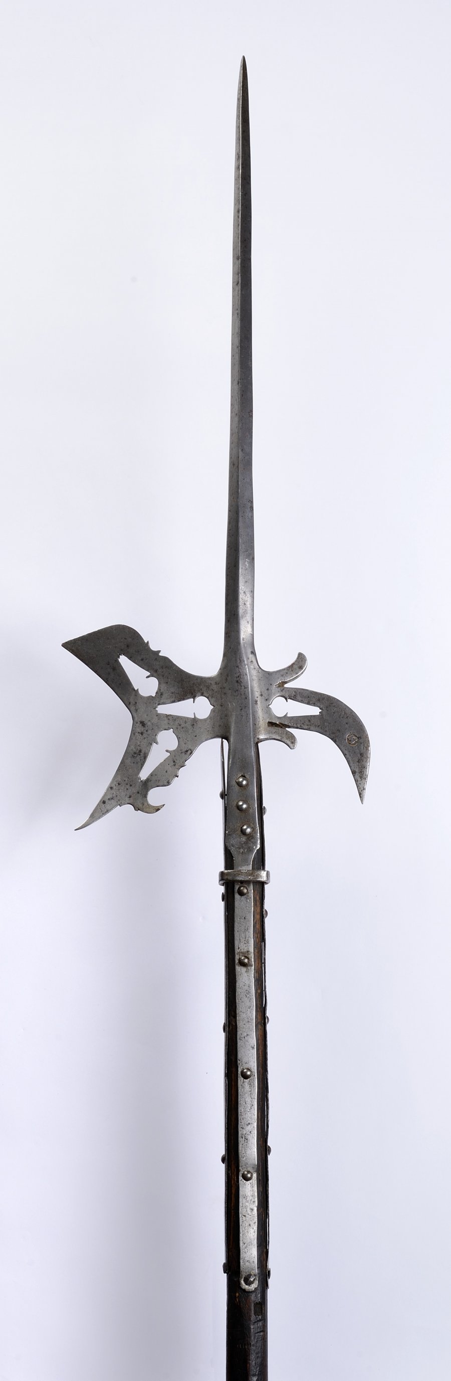 Halberd