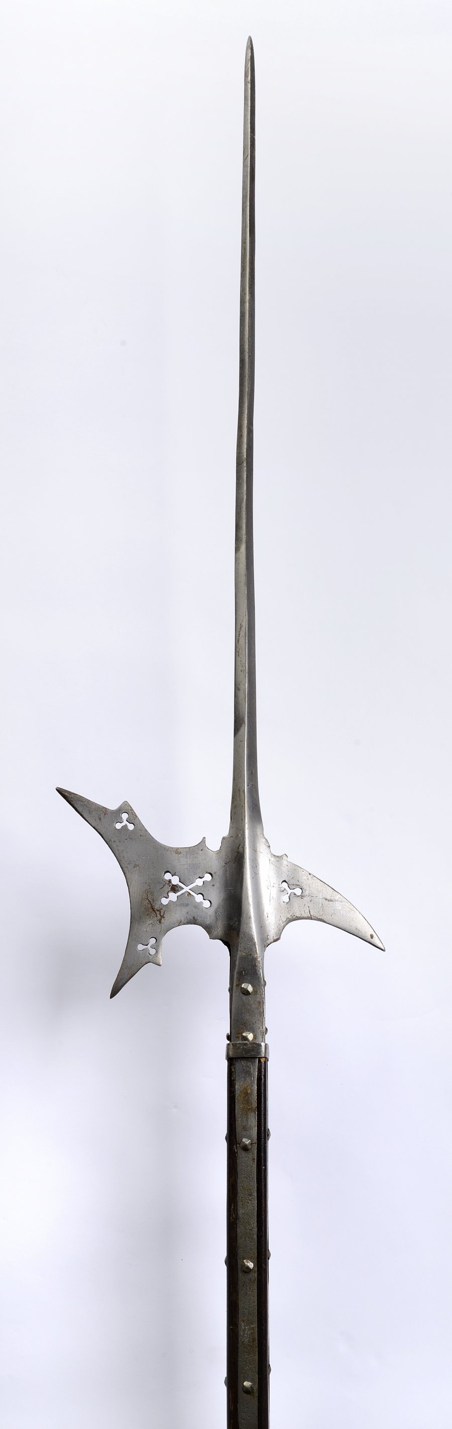 Halberd