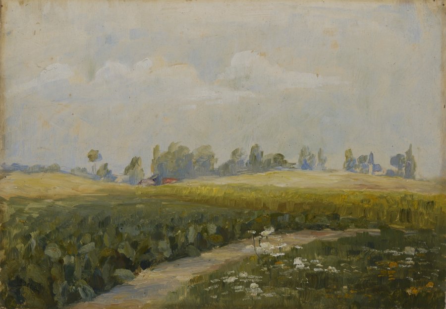 Summer Landscape