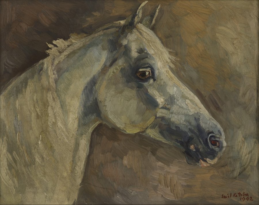 Head of a Horse