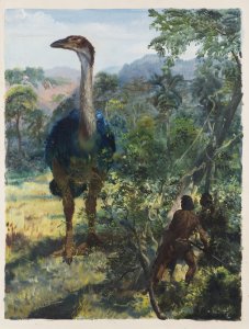 DER VOGEL MOA