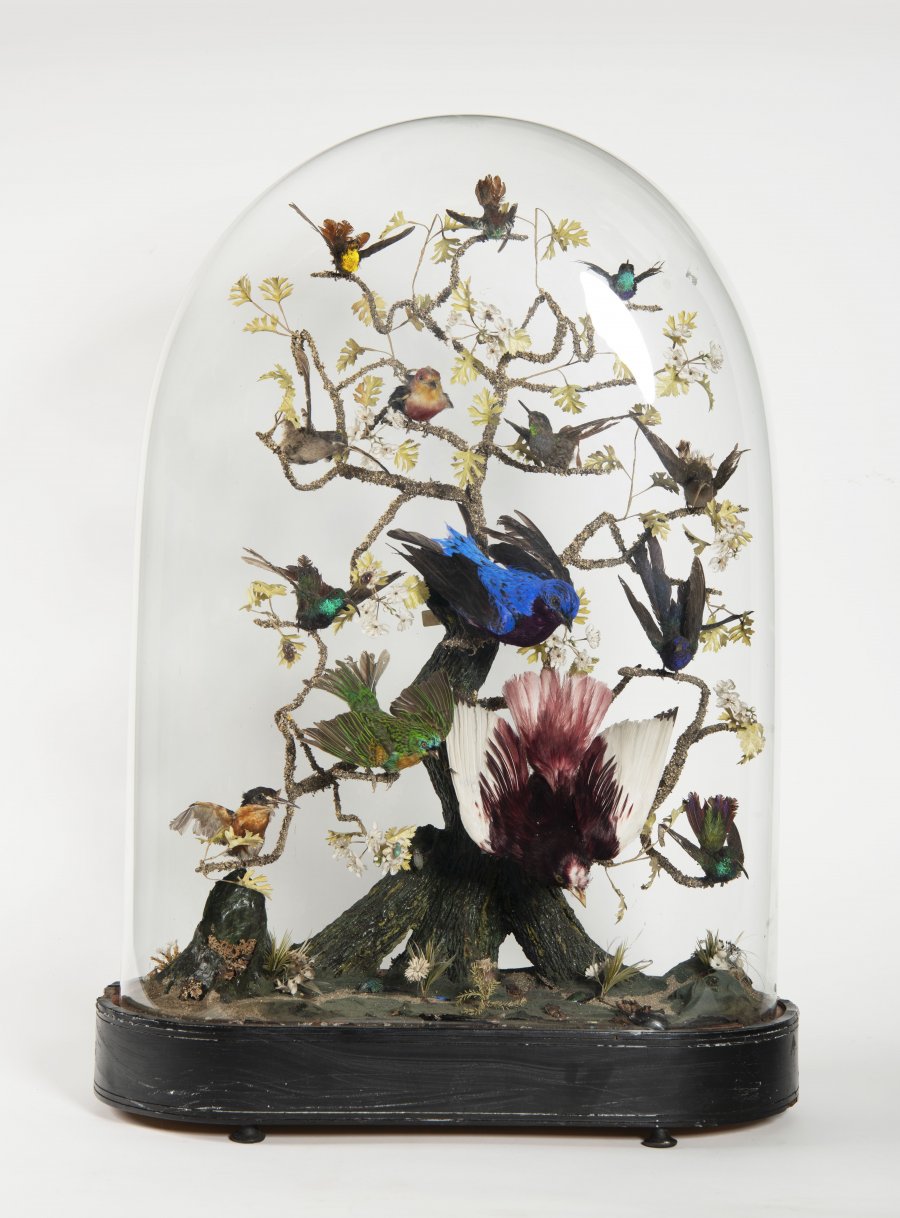 TREE MODEL WITH BIRDS