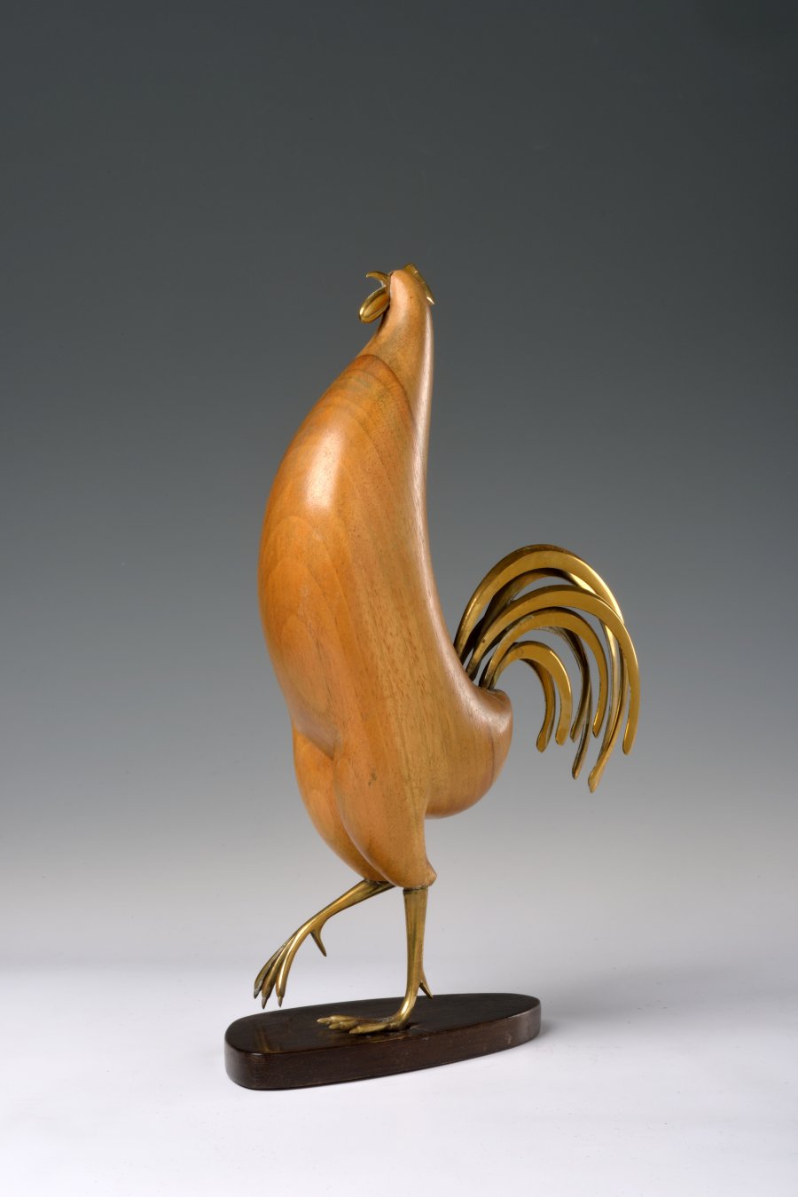 A ROOSTER