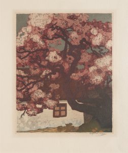 A FLOWERING TREE