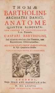 ANATOME QUARTUM RENOVATA (Anatomy, 4th Edition)