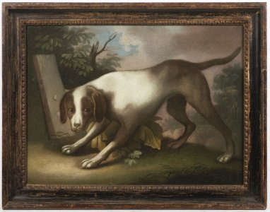 HUNTING DOG PORTRAIT