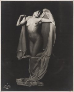 Nude with a Veil