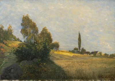 SUMMER LANDSCAPE