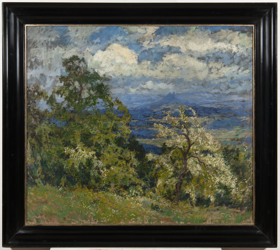 SPRING LANDSCAPE