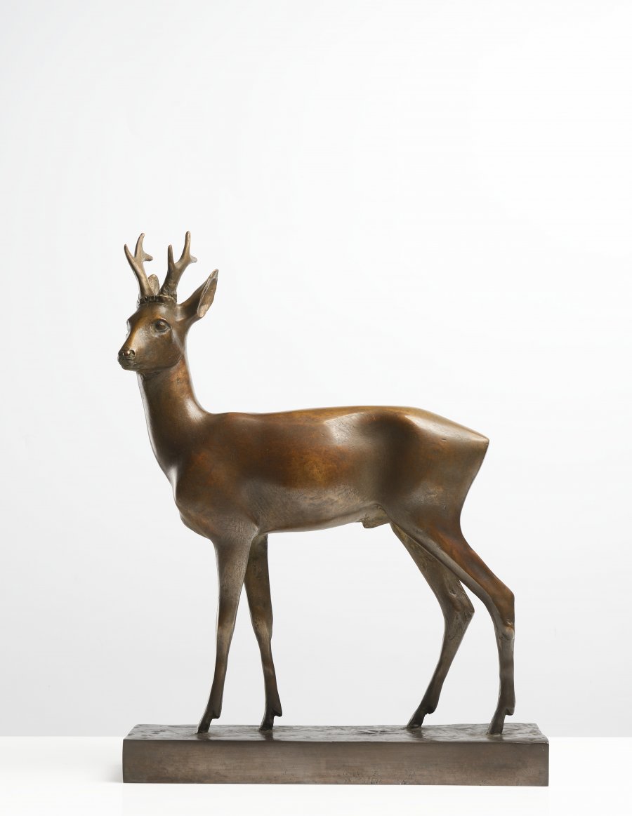 A Stag